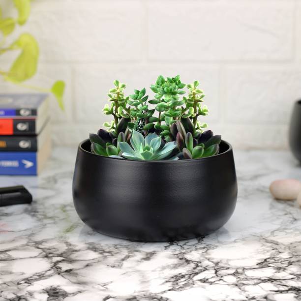 Urban Plant Flower Planter for Living Room | Succulent Pots | Table Top Planter for Office Plant Container Set