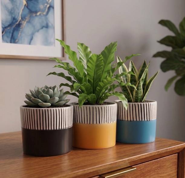 PebbleandClay Nordic Stripe Ceramic Planter Set | Blue Black Yellow | H - 4 Inch | Plant Container Set