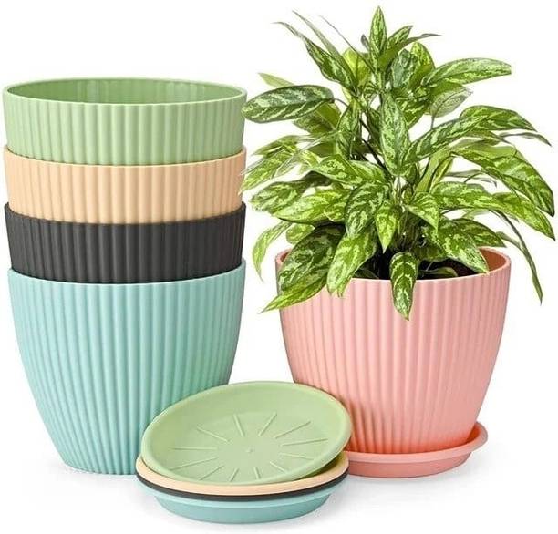 Singhasan Traders R5MULTI_FLOWER Plant Container Set