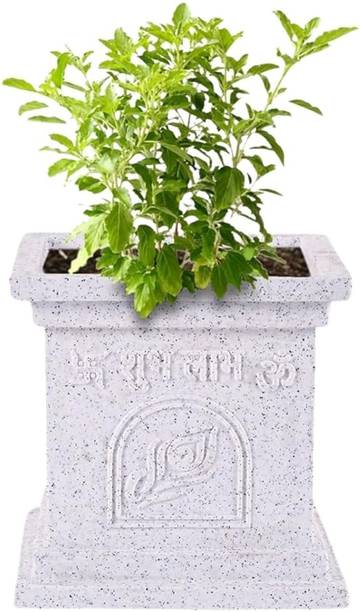 Urban Upvan Elevate Urban Living Roto Fiber Pot Tulsi 10 inch | High Grade Polymer | White Plant Container Set