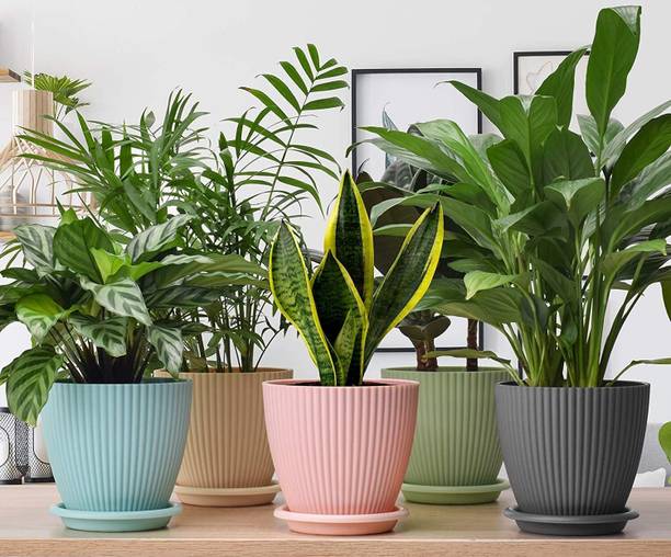 Twizel 5 Pack Flower Pots Outdoor Indoor Planters with Drainage Hole and Tray Saucer Plastic Vase