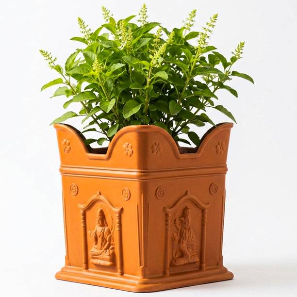 Garden Genie Tulsi Planter for Home - 6 Inch Tulsi Pot | Indoor & Outdoor Use Plant Container Plant Container Set