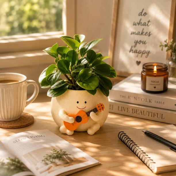 potpop PotPop Cute Musician Planter Pot with Guitar for Indoor Plants for Office, Home Plant Container Set