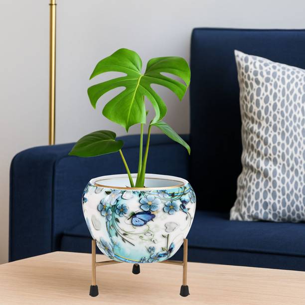 Titir Blue Floral Indoor Plants Pot Organizer for Home & Kitchen |6 inch gamla stands| Plant Container Set