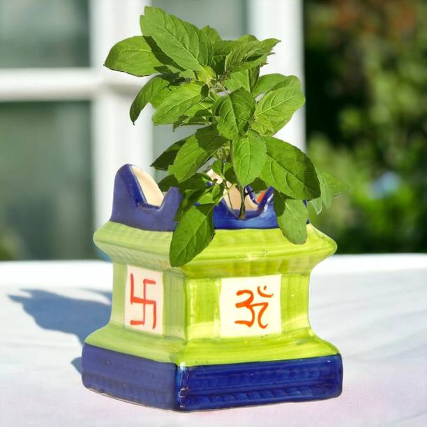 ecofynd 5 inches Tulsi Ceramic Plant Pots, Flower Pot with Drainage Hole Plant Container Set