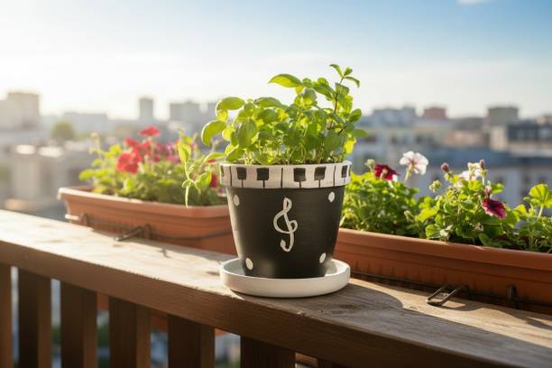 Haus Fabula Premium Decorative Flower Pot | Handcrafted Terracotta Planter Plant Container Set