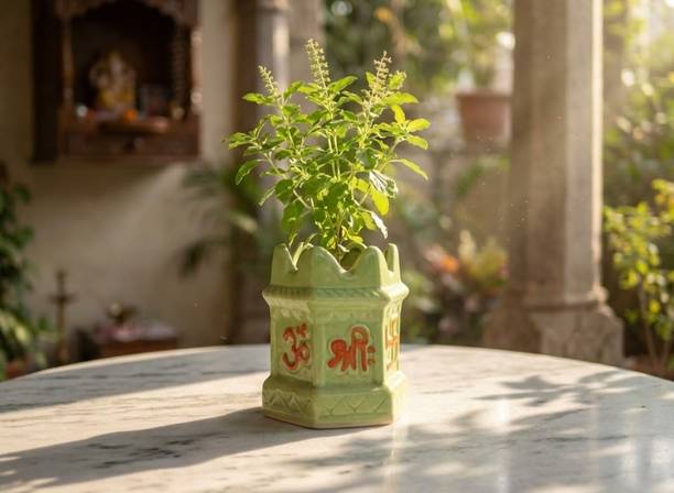 ASCERAMIC Tulsi pot Plant Container Set