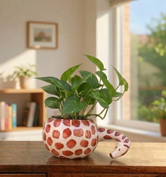 PebbleClay Adorably Giraffe Planter for Home & Office Decor | White | Height - 4 inch | Plant Container Set