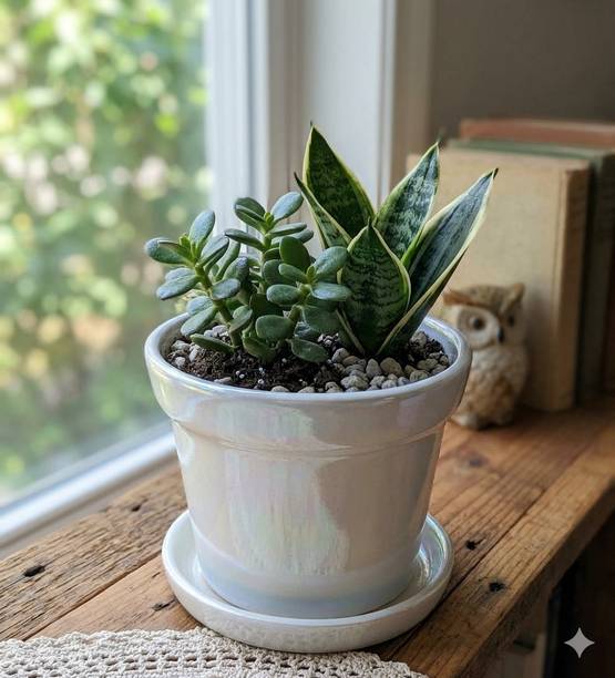 ROSARY POTTERY Premium Ceramic Glazed Conical Shaped Plant pot with Drainage Holes and Pot Tray Plant Container Set