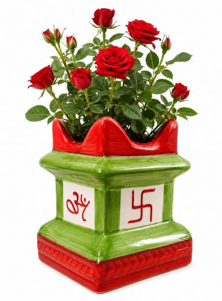 asceramics Tulsi pot Plant Container Set