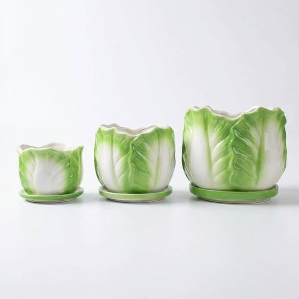 vriksha garden pots VrikshaGardenPots Leaf Design Ceramic Plant Pot with Tray – Green & White Plant Container Set