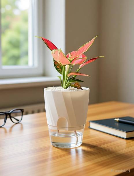 MAAGHI Self Watering Flower Pot with Transparent Double Layer Plastic & Cotton Rope Plant Container Set
