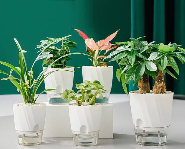 MAAGHI Self Watering Flower Pot with Transparent Double Layer Plastic & Cotton Rope Plant Container Set