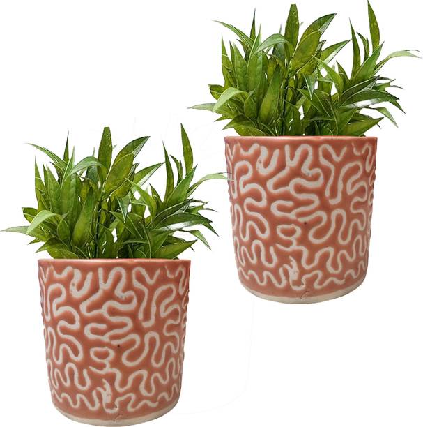 MPT Orange RD Pipe Ceramic Plant Pot Size 4x4inch GH0022-04_Packof2 Plant Container Set