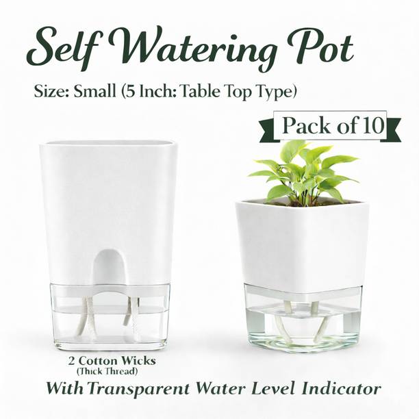 GratisLeafora White Self Watering Square Pot for Indoor Plant6 Plant Container Set