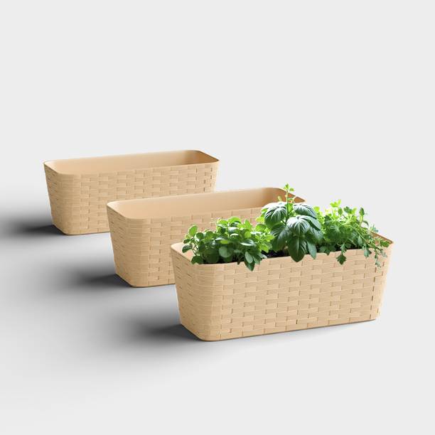 Yuccabe Italia Shera Rattan Tray 11.5 Inch Self Watering Planter Pot for Indoor Outdoor Plant Container Set