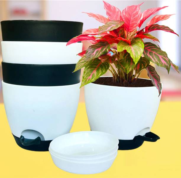 Mithark 6/6.7 Pack 5 Self Watering Pots for Home & Decoration Planters Plant Plant Container Set