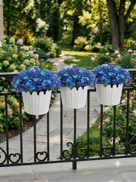 COTSHER Tippy Hook Hanging Plastic Flower Pot for 6"inch gamla Garden(White 3) Plant Container Set