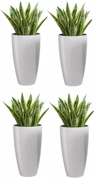 UBBISKART 8inch height White Marble Tower pot for Plant Container Set