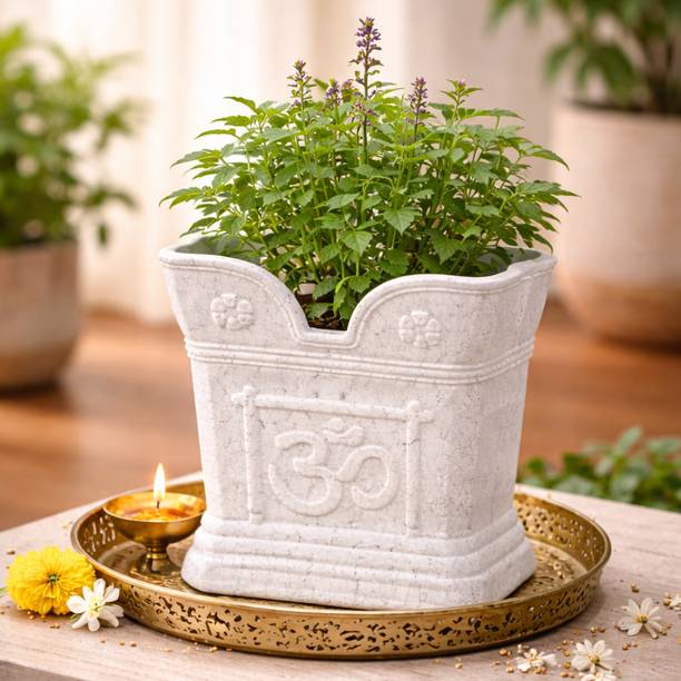 Mterix Vastu-Friendly Tulsi Pot Plant Container Set, flower pots For Home, Mandir Pooja Plant Container Set