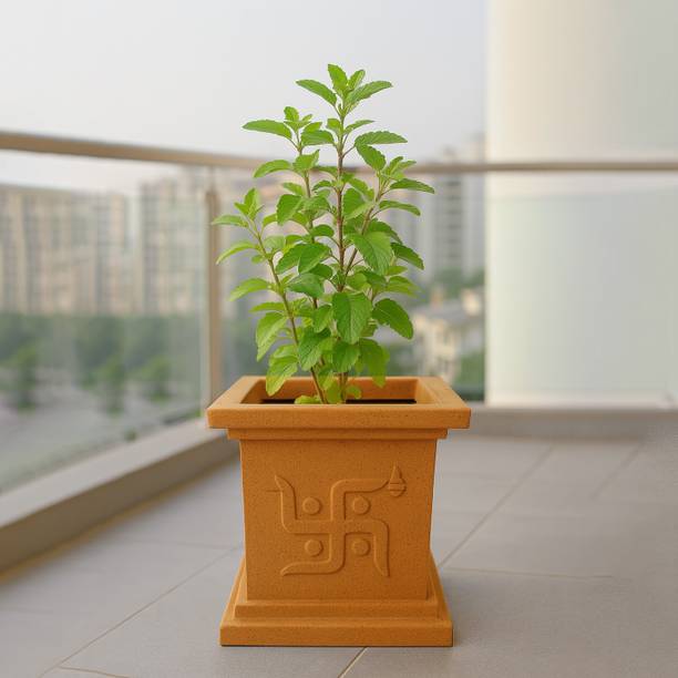 GO HOOKED 9 Inch Tulsi Pot Traditional Decorative Planter Perfect for Home and Pooja Décor Plant Container Set