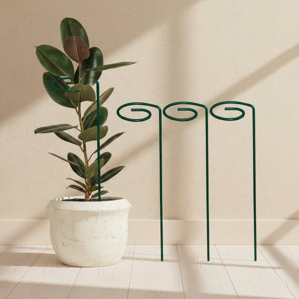 Green Gardenia 16 inches Metal Plant, Super Long and Strong Plant Support, Black-set of 3 Plant Container Set