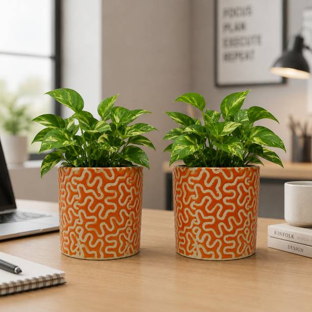 Gupta Homes Orange RD-1 Pipe Ceramic Pot Size 4x4inch GH0022-04 Plant Container Set