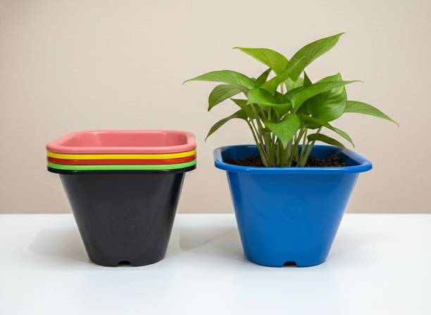 BRABO Pack of 6 Trendy 7 Inch Tulsi Pot for Indoor Balcony Garden Decor Set Home Plant Container Set