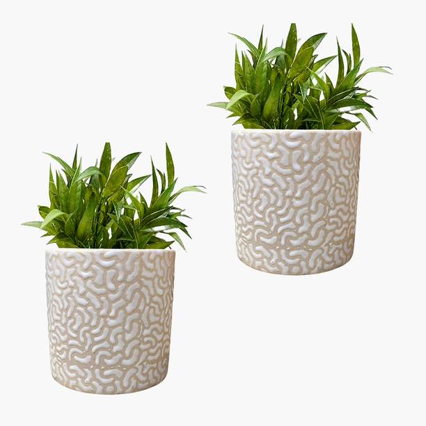 MPT White RD-3 Pipe Ceramic Pot Size 4x4inch GH0022-06_Packof2 Plant Container Set