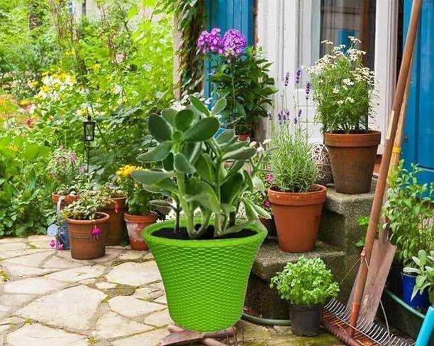 Dervino Rattan 12" Planter Pot To Elevate Garden Terrace to New Height /Add Beauty_n Plant Container Set