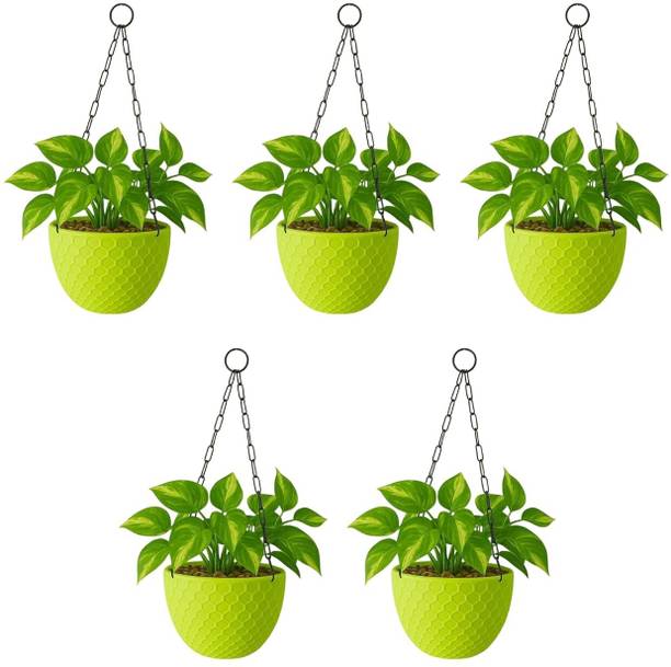 Prime Moulds Cerana Basket – 6 Inch | Hanging Plastic Planter with Chain Plant Container Set