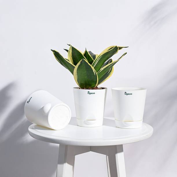 UGAOO Krish Self Watering Pots for Plants Set of 3 Plant Container Set