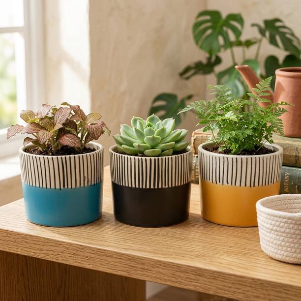 Thekanikadecor Modern Two-Tone Striped Ceramic Tabletop Planter Set. Plant Container Set
