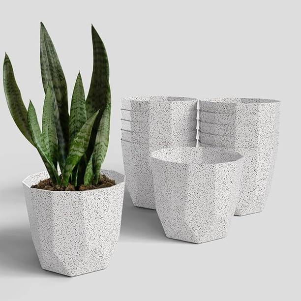 CLOKIFY Plant Container Set