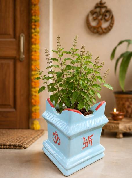 InfiniHub 80_Tulsi_Planter Plant Container Set