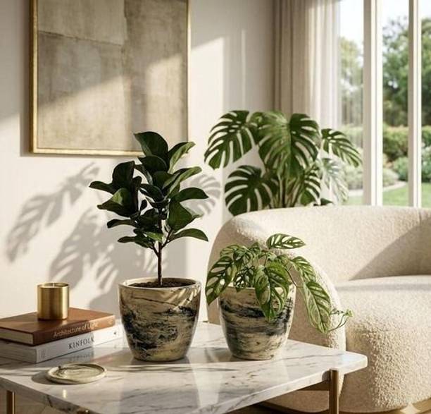 Velvet Decorative Ceramic Plant Pot | Premium Glazed Indoor,Home, Balcony & Office Plant Container Set