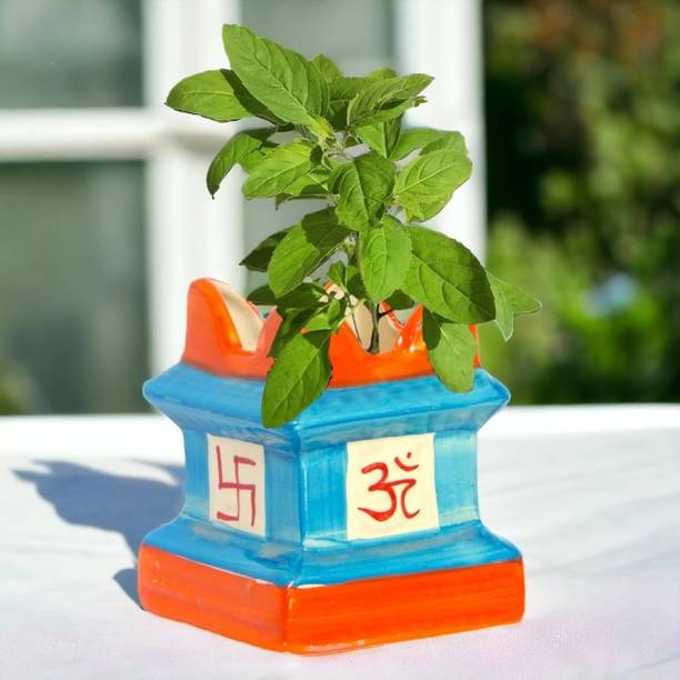 ecofynd Tulsi Ceramic Planter Pot 6 Inch, Indoor Outdoor Decorative Flower Pot Plant Container Set