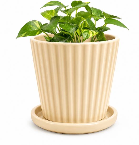 SHYAMNA Line Plet Ceramic Flower Pot for Indoor & Outdoor Plants Decorative Vase Plant Container Set