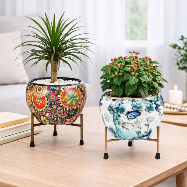 MEEBODE Indoor Plants Pot for Home & Kitchen|6 Inch Tulsi Pot| Plant Container Set