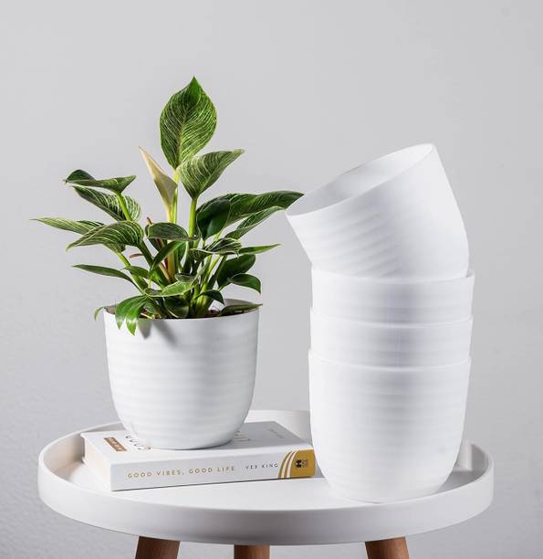 SNSHOPEE 5 Beautiful Wave Matte Finish planters flower plant pots gamla gardening Plant Container Set