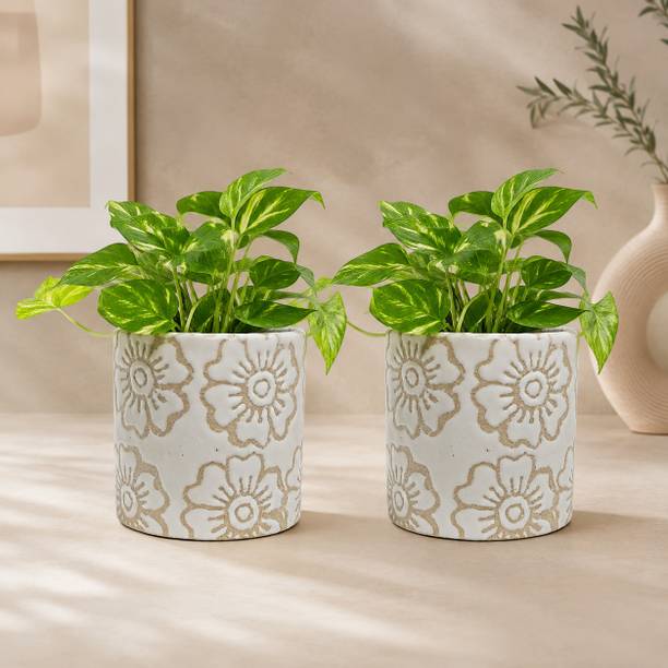 Gupta Homes White RD Flower Ceramic Plant Pot Size 4x4inch GH0031-1_Packof2 Plant Container Set