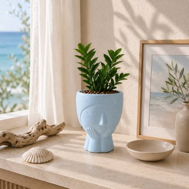 The Cozy Edit Blue Ceramic Face Pot Plant Container Set
