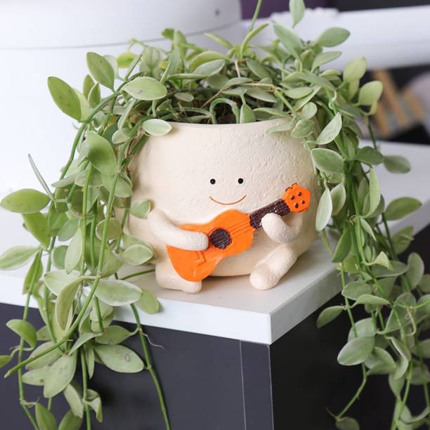 Eleven To Eleven Decor Plant Container Set