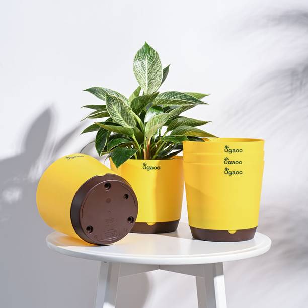 UGAOO Krish Yellow Self Watering Planter - 7.5 Inch, Round, Set of 5 Plant Container Set