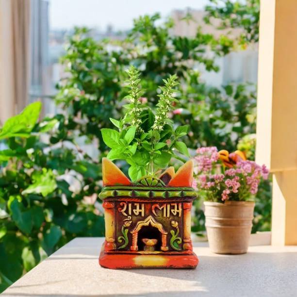 Turtulsgroup Terracotta tulsi Pots Home||Offcie Indoor Outdoor with 7.5x9.5 Inch Plant Container Set