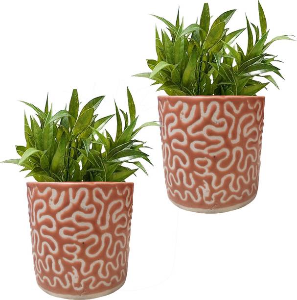 Gupta Homes Orange RD-1 Pipe Ceramic Pot Size 4x4inch GH0022-04 Plant Container Set