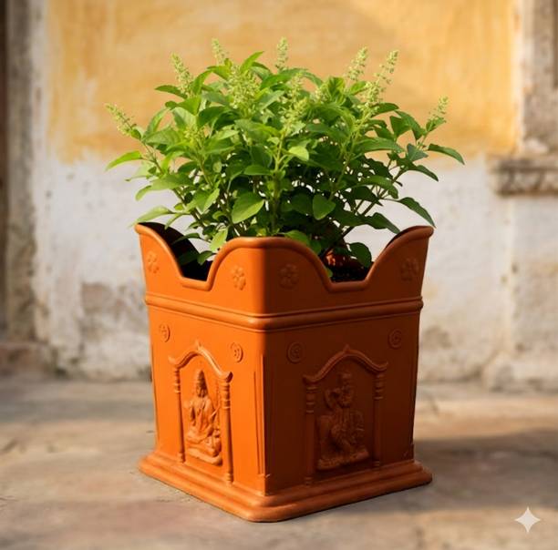 Garden Genie 4 Inch Tulsi Planter For Indoor & Outdoor Use Plant Container Set