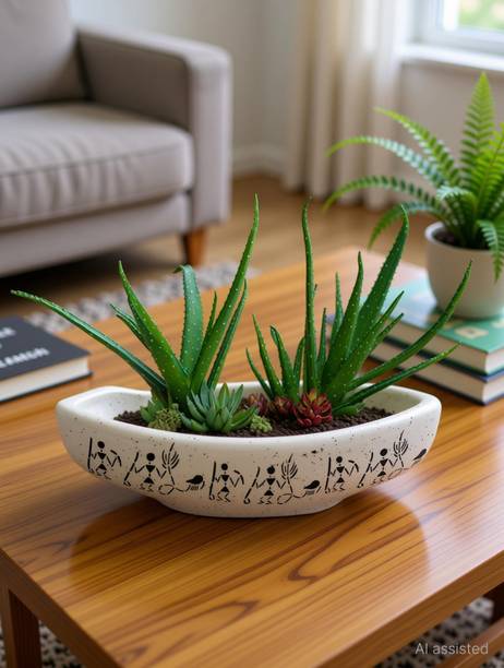 GleamSun Ceramic Bonsai Tray Pot Planter , Size 10 INCH, Color White, Pack of 1 Plant Container Set