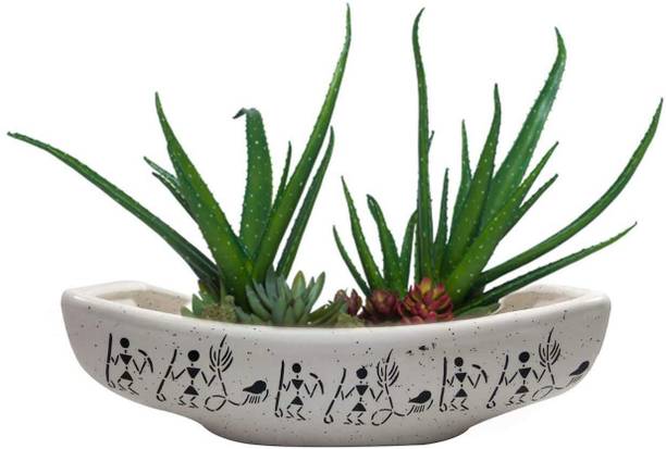 GleamSun Ceramic Bonsai Tray Pot Planter , Size 10 INCH, Color White, Pack of 1 Plant Container Set