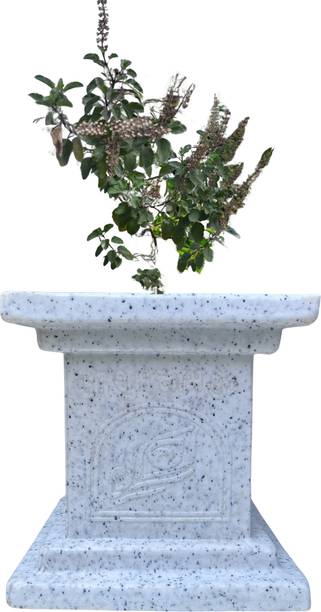 Rooted Life Tulsi Planter Pot Plant Container Set